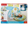 Fisher-Price Teddy Bear Mat with DYW46 p4 MATTEL Sounds