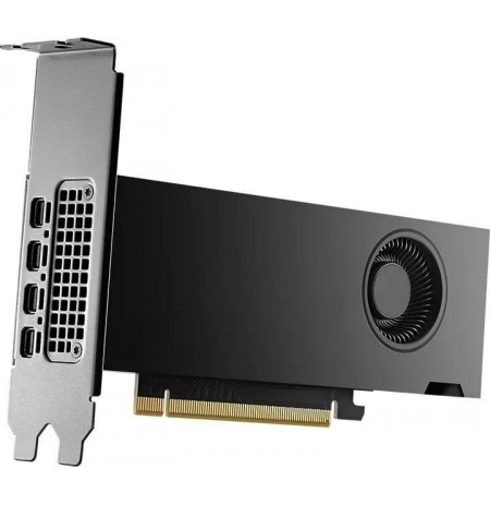 PNY NVIDIA 2000 Ada 16GB LowProfile, PCIe 4.0 x16, Dual Slot, 4x Mini DP 1.4a, 16 GB GDDR6 ECC 128-bit, HDCP 2.2, HDMI 2.0,