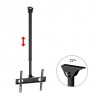 Maclean MC-631 Wall Bracket, Universal Ceiling Bracket Maclean MC-541, LCD LED Plasma 32 "- 55" up to 50kg