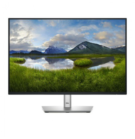 Dell P2425 Monitorius 24'' IPS WUXGA 1920x1200, 8 ms, 300 cd/m2, 100 Hz, Black/Silver