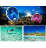 Free Breath Snorkeling Mask M2068G L/XL black