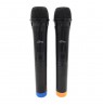 Wireless karaoke microphones ACCENT PRO MT395