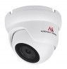 Maclean IPC 5MPx Outdoor IP Security Camera, Dome, PoE, Night Vision Infrared CMOS 1/2.8" SONY Starvis IMX335, H.265+, Onvif,