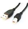 Cablexpert | CCP-USB2-AMBM-6 | USB-A to USB-B USB A | USB B