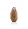 ETA Aroma diffuser Aria ETA463490000 Ultrasonic, Suitable for rooms up to 25 m³, Wood