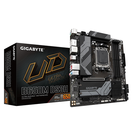 Gigabyte B650M DS3H 1.0 M/B Processor family AMD